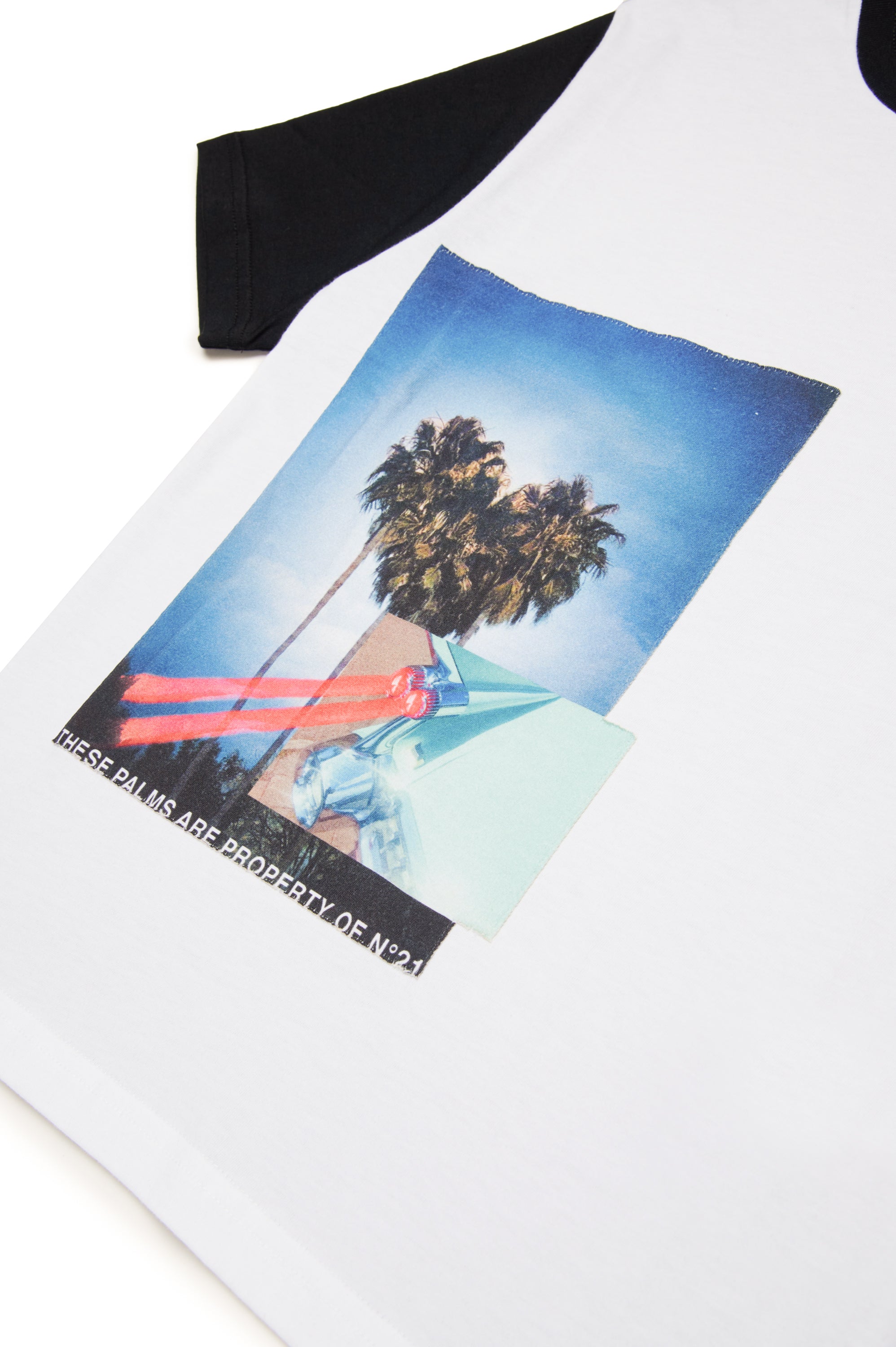 Palm-Tree Cotton T-Shirt